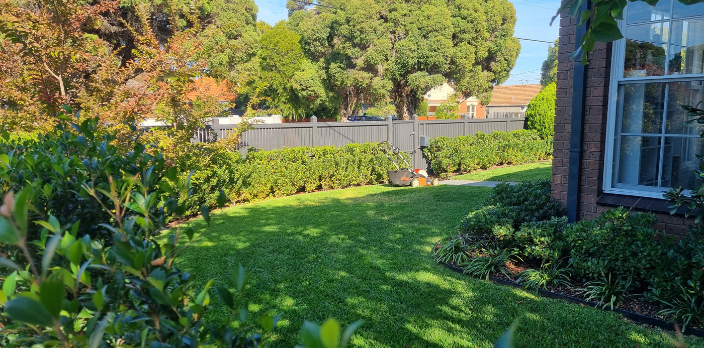 bespoke garden maintenance by Alex Thompson Gardens