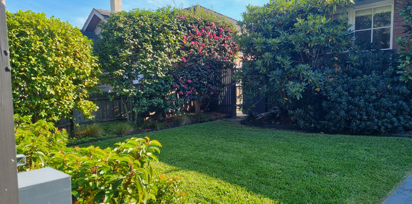 bespoke garden maintenance by Alex Thompson Gardens