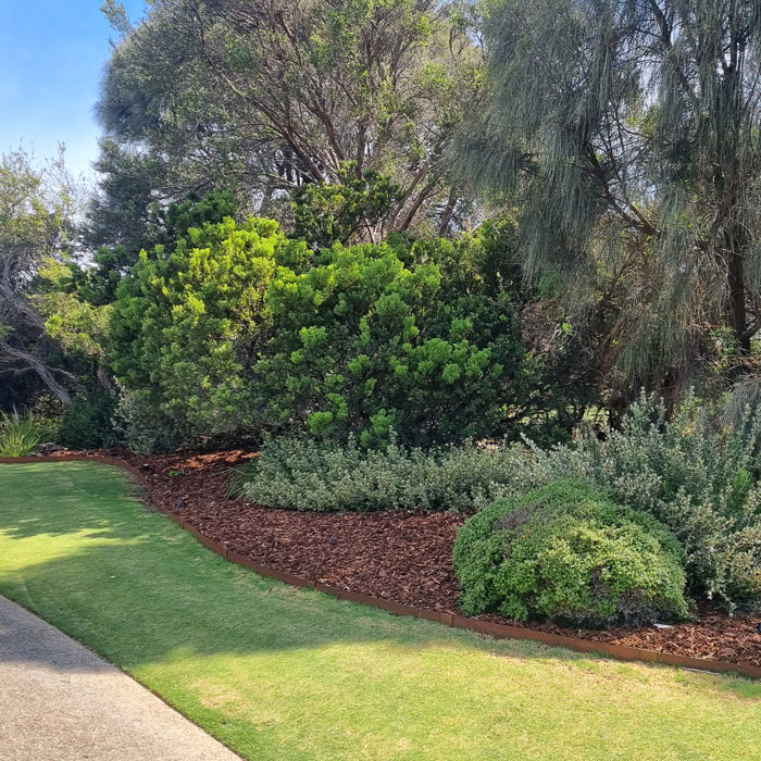 lawn and garden bed edging and maintenance