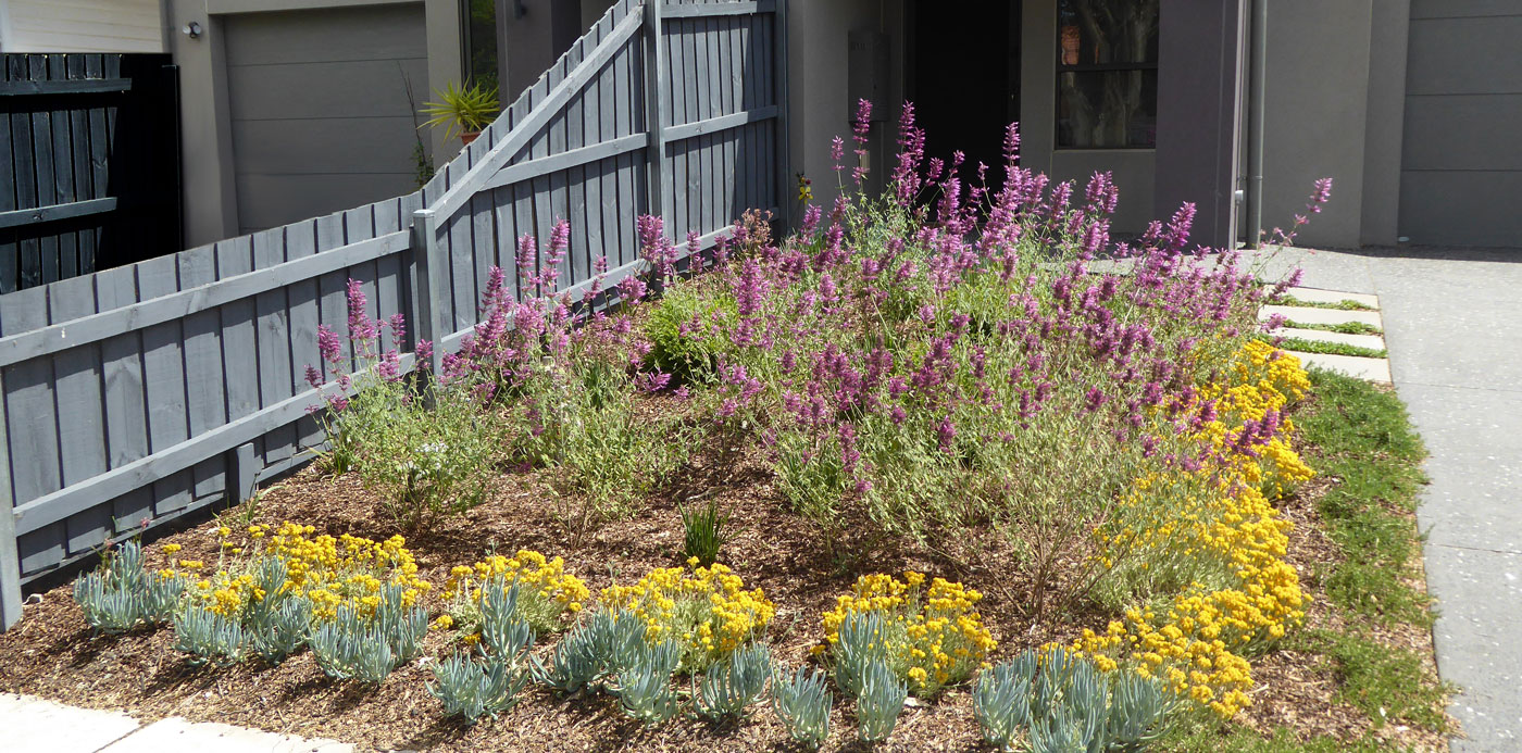 garden restoration in the melbourne bayside area